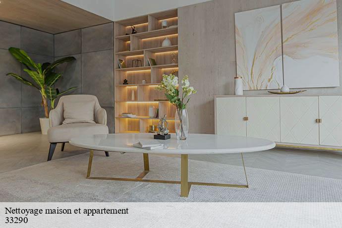 Nettoyage maison et appartement  blanquefort-33290 DLC Débarras